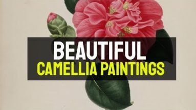 Camellia Paintings - 100 Beautiful Camellia Paintings 18 Camellia Paintings - 100 Beautiful Camellia Paintings